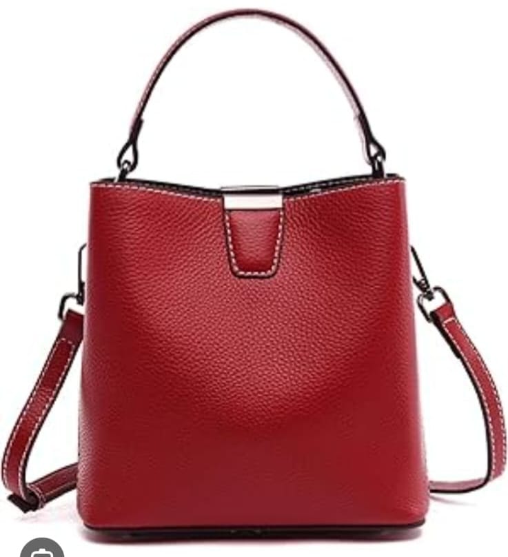 HandBag-6